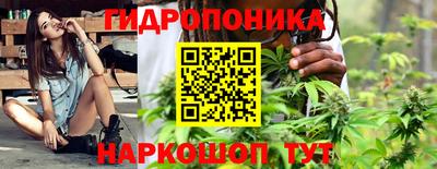 крисы Донецк